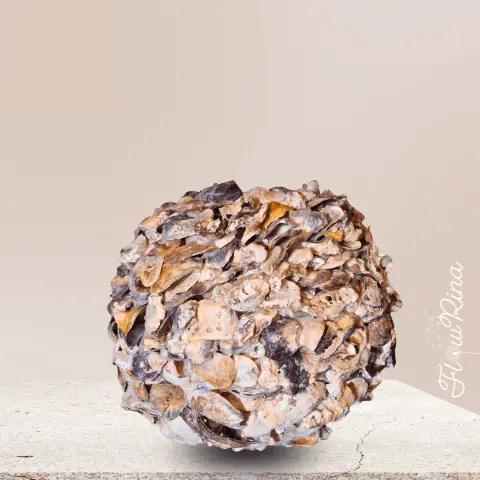 Schelpenvaas wit