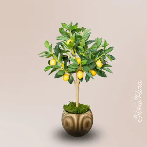 kunst citroenboom